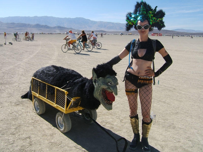 animal-trainer_750971574