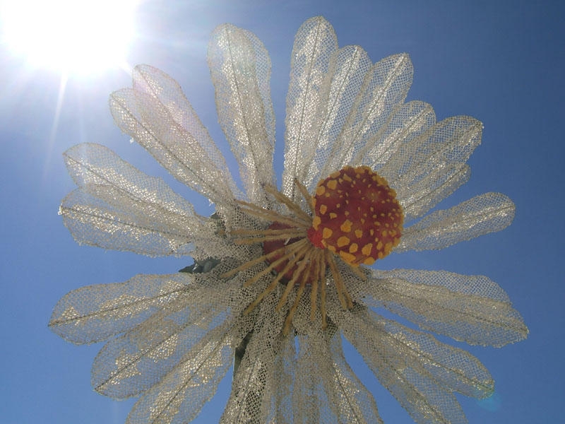 flower_18814699