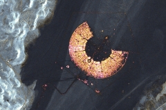 burningman_aug31