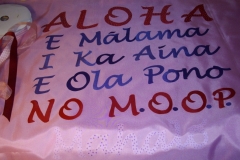 Burning-Man-No-MOOP-pink-banners-001