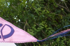 LaVie-FLAGS-004