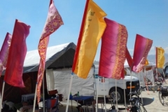 HVFlags