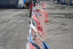 HVFlags1