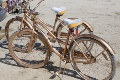 GoldBikes