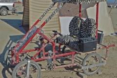 HVTrikeZebra