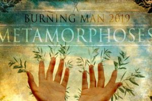 2019 - Metamorphoses