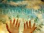 2019 - Metamorphoses