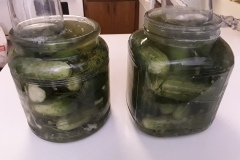 BobSpelledBackwards-pickles